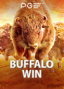 พบกับฟรี เครดิต ไม่ ฝาก ไม่ แชร์ สะใจนักปั่นมือใหม่